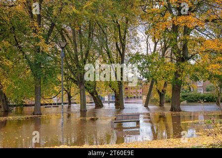 Un fiume ha scoppiato le sue rive e allagato attraverso un parco. Alberi autunnali e un lampione sono bloccati nell'acqua e una panca è parzialmente sommersa. Foto Stock