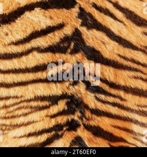strisce nere sulla pelle di tigre, sfondo naturale per il tuo design Foto Stock