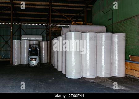 Rotoli di carta riciclata nel magazzino. Foto Stock