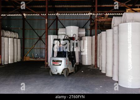 Rotoli di carta riciclata nel magazzino. Foto Stock