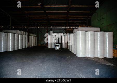 Rotoli di carta riciclata nel magazzino. Foto Stock