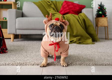 Carino cane in costume da renna a casa la vigilia di Natale Foto Stock