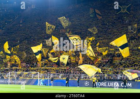 Dortmund, Germania. 7 novembre 2023. DORTMUND, GERMANIA - 7 NOVEMBRE: Tifosi e tifosi del Borussia Dortmund prima della partita del gruppo F di UEFA Champions League tra Borussia Dortmund e Newcastle United FC al Signal Iduna Park il 7 novembre 2023 a Dortmund, Germania (foto di Joris Verwijst/Orange Pictures) credito: Orange Pics BV/Alamy Live News Foto Stock