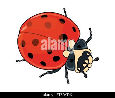 Una coccinella con un corpo marrone due antenne sei zampe e ali di colore rosso nero ha pois vettore di disegno a colori o illustrazione Illustrazione Vettoriale