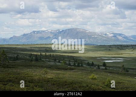 Paesaggio montano Gol, Norvegia Foto Stock