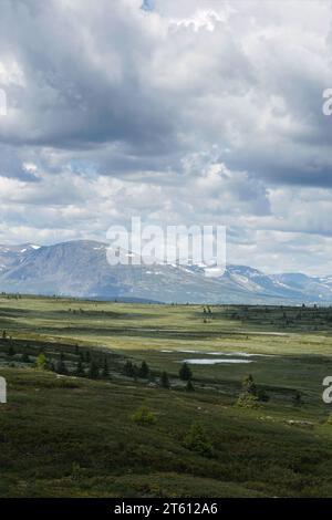 Paesaggio montano Gol, Norvegia Foto Stock