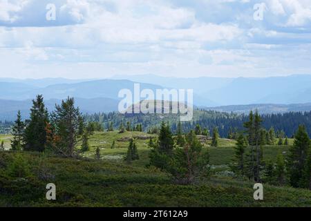 Paesaggio montano Gol, Norvegia Foto Stock