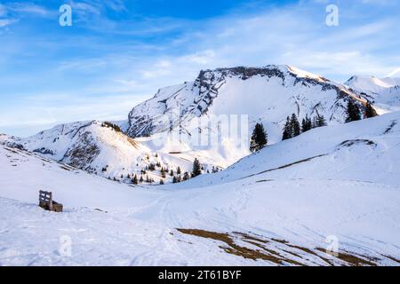 Paesaggio invernale sul monte Klewenalp nelle Alpi svizzere, Svizzera. Famosa pista da sci e attrazione per gli sport invernali con montagne innevate e abeti Foto Stock