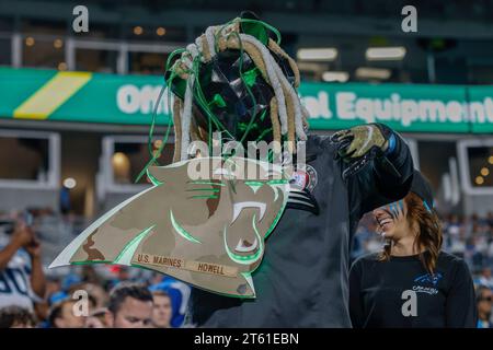 Charlotte, NC, USA: Un tifoso dei Carolina Panthers tira in tribuna durante una partita NFL contro gli Indianapolis Colts al Bank of America Stadium, domenica, Foto Stock