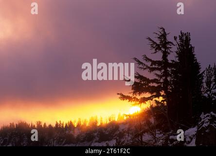 Sunrise lungo Bear Creek Mountain Trail, rocce di capra deserto Wenatchee National Forest, Washington Foto Stock