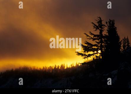 Sunrise lungo Bear Creek Mountain Trail, rocce di capra deserto Wenatchee National Forest, Washington Foto Stock