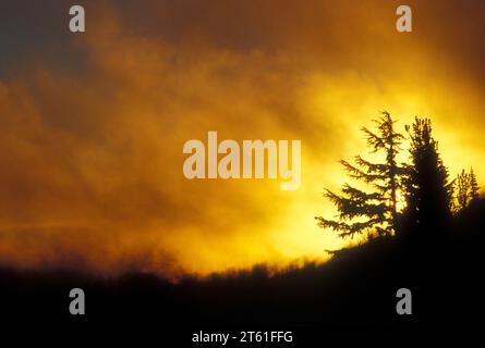 Sunrise lungo Bear Creek Mountain Trail, rocce di capra deserto Wenatchee National Forest, Washington Foto Stock