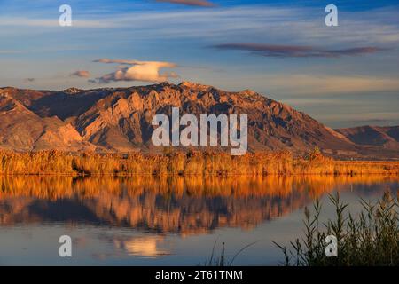 Willard Mountain si riflette sul fiume Bear presso il Bear River Migratory Bird Refuge vicino Brigham City, Box Elder County, Utah, USA. Foto Stock