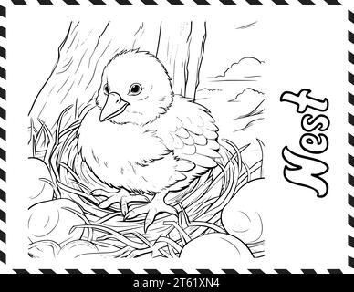 Chicks in the Nest Coloring Book pagine da colorare per bambini Illustrazione Vettoriale