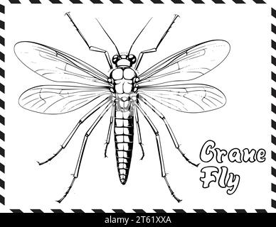 Pagina da colorare Crane Fly per bambini Illustrazione Vettoriale