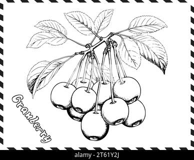 Cranberry Coloring Pages per bambini Illustrazione Vettoriale