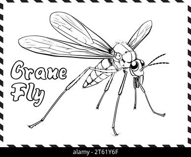 Pagina da colorare Crane Fly per bambini Illustrazione Vettoriale