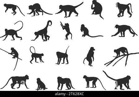 Silhouette scimmie, Monkey silhouette Collection, silhouette scimmia seduta, Monkey svg, Monkey Clipart, illustrazione vettoriale della scimmia Illustrazione Vettoriale