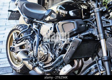 Primo piano del motore Yamaha per motociclette, tutte le parti del motore sono visibili. Foto Stock