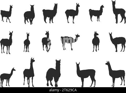 Silhouette Lama, silhouette Llama, silhouette Lama Animal Illustrazione Vettoriale