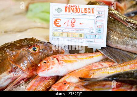 Pesce appena pescato al pescivendolo sul tavolo Foto Stock