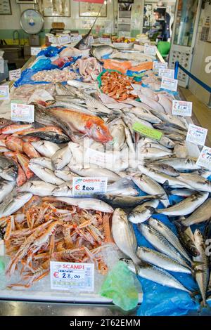 Pesce appena pescato al pescivendolo sul tavolo Foto Stock