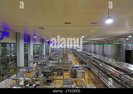 Contea di Luannan - 21 ottobre 2016: Mengniu Dairy (Luannan) Limited Liability Company Production Line, Luannan County, Hebei Province, Cina Foto Stock