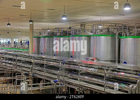 Contea di Luannan - 21 ottobre 2016: Mengniu Dairy (Luannan) Limited Liability Company Production Line, Luannan County, Hebei Province, Cina Foto Stock