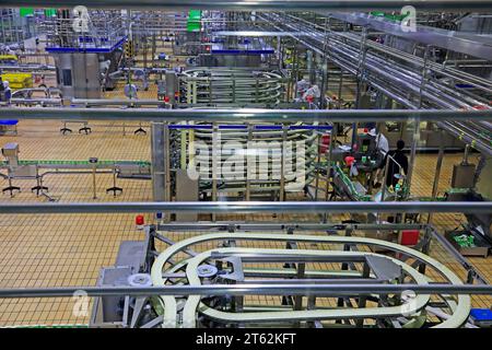 Contea di Luannan - 21 ottobre 2016: Mengniu Dairy (Luannan) Limited Liability Company Production Line, Luannan County, Hebei Province, Cina Foto Stock