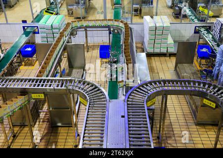 Contea di Luannan - 21 ottobre 2016: Mengniu Dairy (Luannan) Limited Liability Company Production Line, Luannan County, Hebei Province, Cina Foto Stock