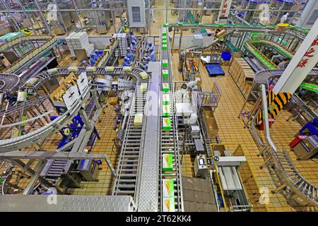 Contea di Luannan - 21 ottobre 2016: Mengniu Dairy (Luannan) Limited Liability Company Production Line, Luannan County, Hebei Province, Cina Foto Stock