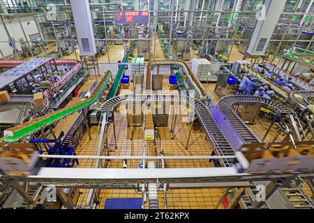 Contea di Luannan - 21 ottobre 2016: Mengniu Dairy (Luannan) Limited Liability Company Production Line, Luannan County, Hebei Province, Cina Foto Stock