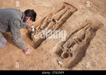 Ein Grabungsteilnehmer legt ein Grab aus der Karolingerzeit auf dem Gelände der Königspfalz Helfta frei. In dem Grab aus dem 8. Jahrhundert liegen ein Foto Stock