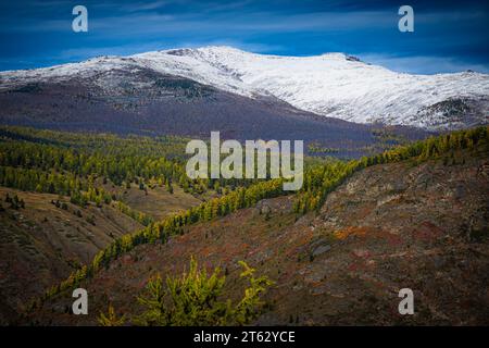 Droni aerei, pittoresca vista degli alberi e delle montagne innevate ad Altai, Russia Foto Stock