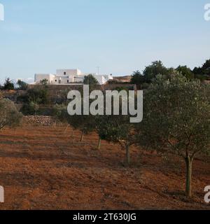 Casa di campagna bianca sull'isola di Ibiza circondata dalla natura nella parte settentrionale dell'isola. Foto Stock
