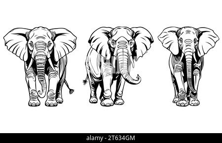 disegno del contorno di un elefante in formato vettoriale Illustrazione Vettoriale
