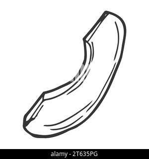 Icona vettore sezione avocado. Disegno a mano di frutta tropicale matura. Pezzo di avocado fresco sbucciato. Cibo sano e gustoso, contorno di orti. Illustrazione Vettoriale