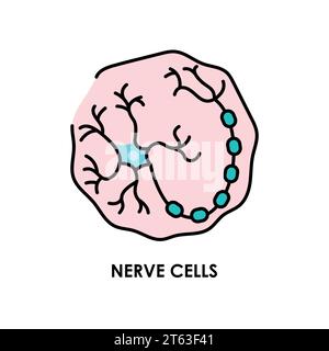 Icona della linea di colore della cellula del neurone cerebrale. Microrganismi microbi, batteri. Elemento isolato vettore. Tratto modificabile. Illustrazione Vettoriale