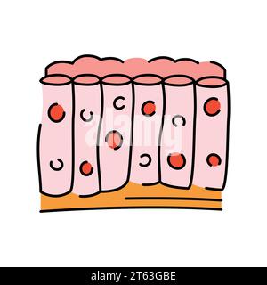 Icona linea colore tessuto. Organizzazione nell'organismo. Elemento isolato vettore. Tratto modificabile. Illustrazione Vettoriale