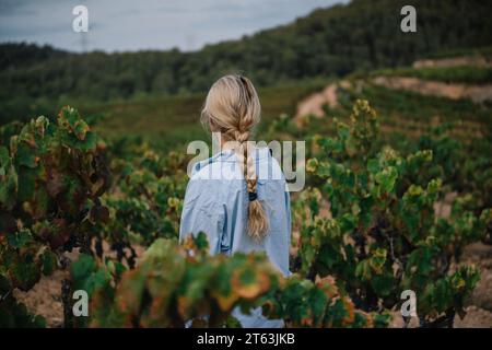Vista posteriore di una vitaia senza volto con capelli biondi intrecciati in mezzo a lussureggianti vigneti verdi che crescono nei vigneti della campagna Foto Stock