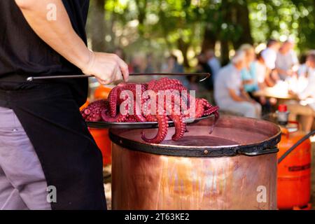 Lo chef anonimo in un ambiente all'aperto solleva sapientemente un polpo appena cucinato da un grande recipiente di rame, mentre un gruppo di persone siede e socializza nel locale Foto Stock