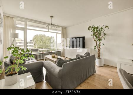 Divano grigio con tavolino da caffè e televisore collocato accanto a una luminosa finestra nel soggiorno della moderna casa bianca Foto Stock