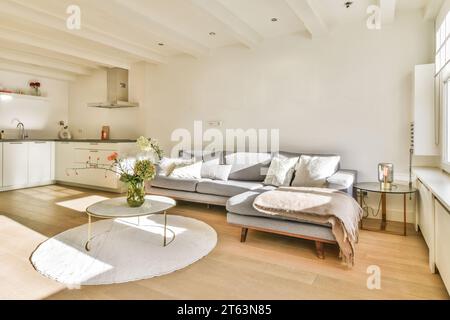 Comodo divano grigio con tavolino da caffè posto davanti alla cucina open space in un appartamento contemporaneo con pareti bianche Foto Stock