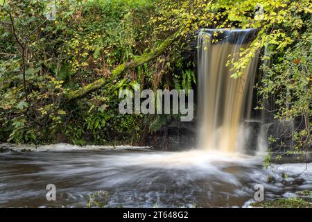 Cascata Routin Lynn, Routin Linn, vicino Ford, Northumberland, Inghilterra, REGNO UNITO Foto Stock