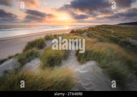 Splendida alba sulle dune di sabbia della spiaggia di Holkham sulla costa nord del Norfolk. Foto Stock