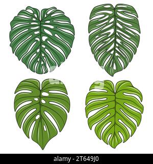 Set di illustrazioni a colori con foglie di piante superidratanti monstera. Oggetti vettoriali isolati su sfondo bianco. Illustrazione Vettoriale
