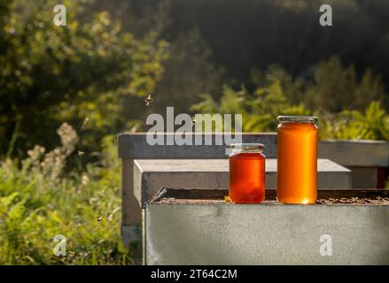 Due vasetti di miele ecologico e sano, uno grande e uno piccolo, su un alveare alla luce di un tramonto autunnale Foto Stock