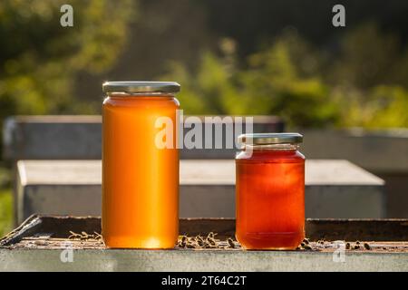 Due vasetti di miele ecologico e sano, uno grande e uno piccolo, su un alveare alla luce di un tramonto autunnale Foto Stock