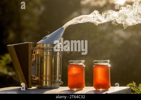 Due piccoli vasetti di miele ecologico e sano su un alveare e accanto a un fumatore alla luce di un tramonto autunnale Foto Stock