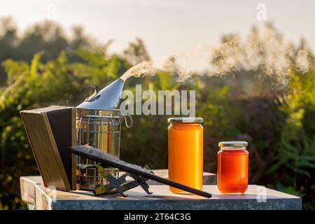 Due vasetti di miele ecologico e sano, uno grande e uno piccolo, su un alveare e accanto a un fumatore alla luce di un tramonto autunnale Foto Stock